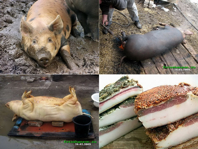 ������� ����