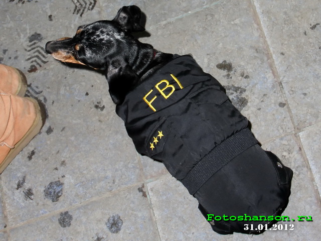 FBI