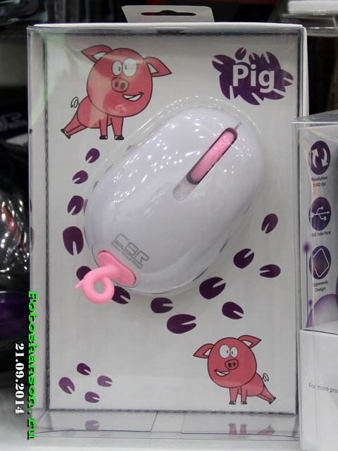 Pig