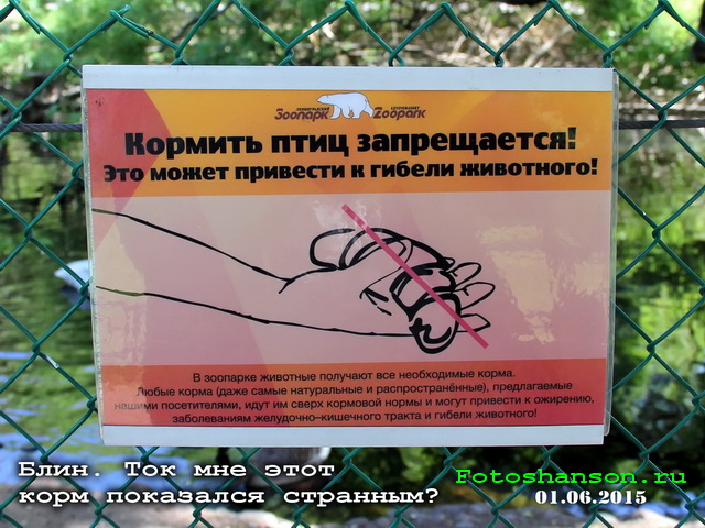 �������� ����