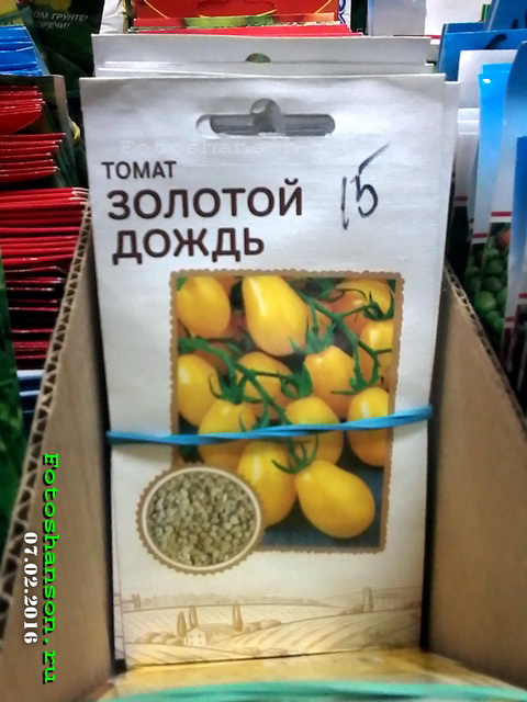 ������� �����