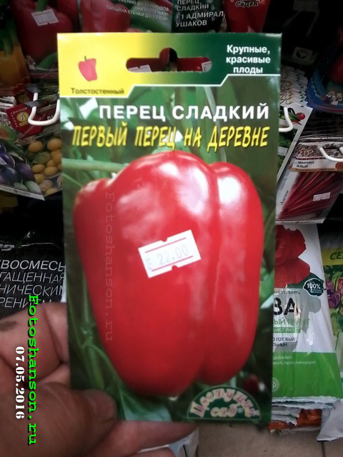 ������ ������